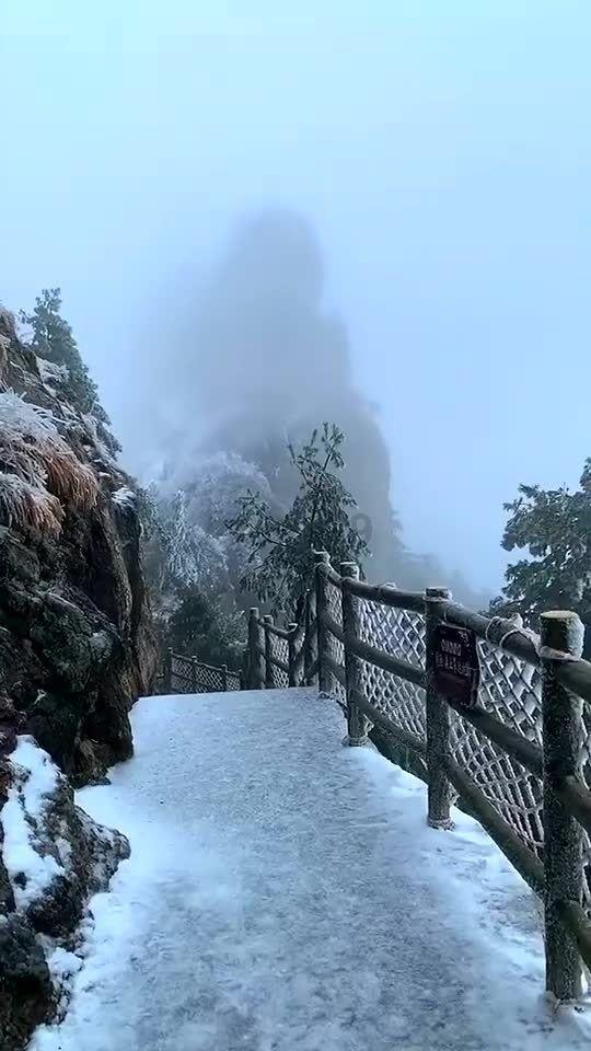 荔枝的小虫子最多，怎么能避免不吃到虫子，吃荔枝前怎么处理干净