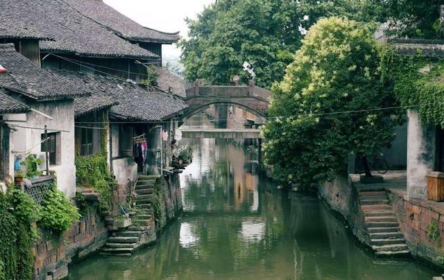 动物帮帮忙保卫家园